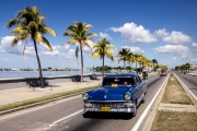 shutterstock_145464523