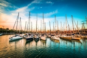 shutterstock_158110724