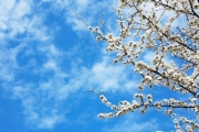 shutterstock_10118323_1024_683