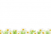 shutterstock_104846237