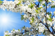 shutterstock_107065013_768_768