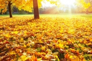 shutterstock_110169812_512_768
