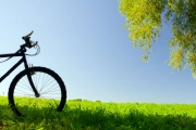 shutterstock_12022945_1024_683