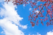 shutterstock_125099732 daha kaliteli_1024_683