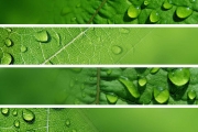shutterstock_12539635_961_768
