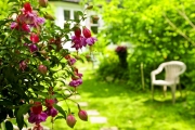 shutterstock_14045608_1024_680