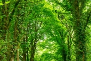 shutterstock_144824587_512_768