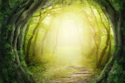 shutterstock_151149986_768_768