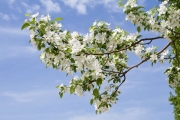 shutterstock_163809407_1024_683