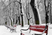 shutterstock_1718652_560_768