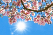 shutterstock_183334694_1024_683