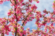 shutterstock_189656117_512_768
