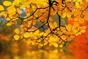 shutterstock_2265019_764_768
