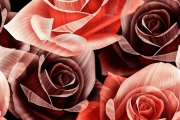 shutterstock_249584650_768_768