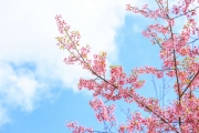 shutterstock_261151184_1024_683