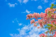 shutterstock_278337419_1024_683