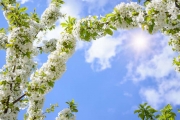 shutterstock_279098831_1024_681
