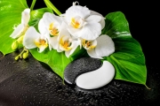 shutterstock_281609870_1024_683
