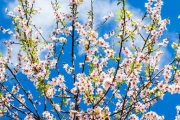 shutterstock_286764323_512_768