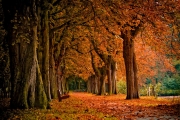 shutterstock_4274212_1024_654