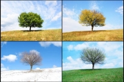 shutterstock_47296240_1024_692