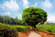 shutterstock_54683089_1024_683