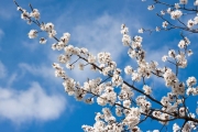 shutterstock_55662178_1024_683