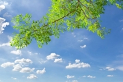 shutterstock_72764536_1024_683