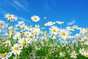 shutterstock_75290266_1024_680