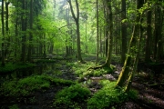 shutterstock_77762962_1024_683
