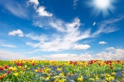 shutterstock_79522834_771_768