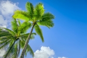 shutterstock_116835163_1024_683