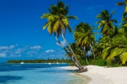 shutterstock_180837143_1024_698