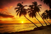 shutterstock_192067049_1024_681