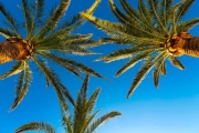 shutterstock_214054993_1024_683