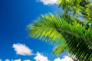 shutterstock_215662597_1024_683