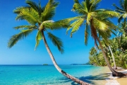shutterstock_52113241_969_768