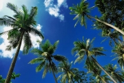 shutterstock_54612850_1024_681