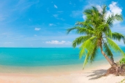 shutterstock_65504518_1024_660