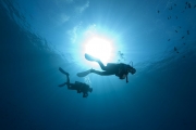 shutterstock_45136117