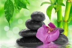 shutterstock_181006454