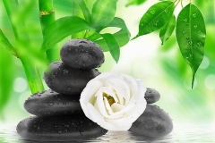 shutterstock_188241671