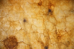 shutterstock_3439650