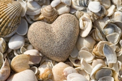 shutterstock_39355177