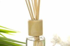 shutterstock_47565067