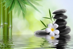 shutterstock_88350175